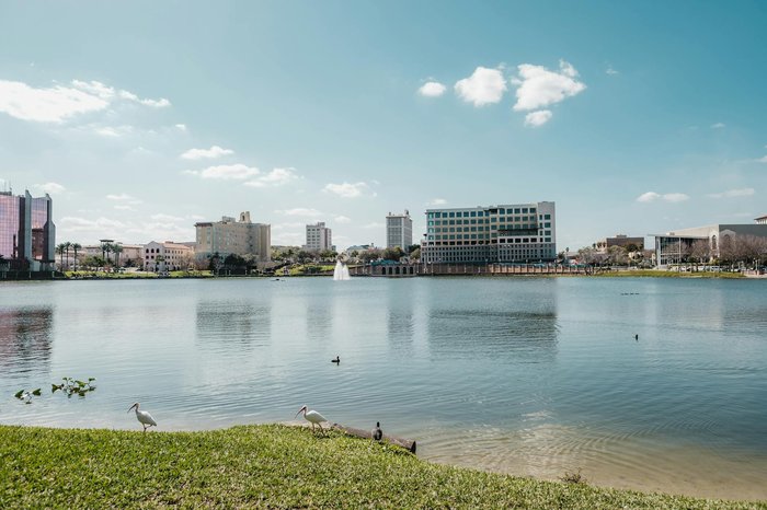 Dtf Prints - Lakeland, Fl Custom Dtf Transfers Dtf Transfers Lakeland, Fl - Premium Custom Dtf Printing, Gang Sheets, Uv Dtf Decals Near Lakeland